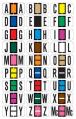 Reynolds & Reynolds ColorFile (Match) Alphabetic Labels, Ringbook Binder Package, 240/pkg. 3800 Series