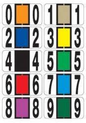 Reynolds & Reynolds ColorFile (Match) Numeric Labels, Ringbook Binder Package, 240/pkg. 5800 Series