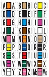 Reynolds & Reynolds ColorFile (Match) Alphabetic Labels, Ringbook Binder Package, 240/pkg. 3800 Series